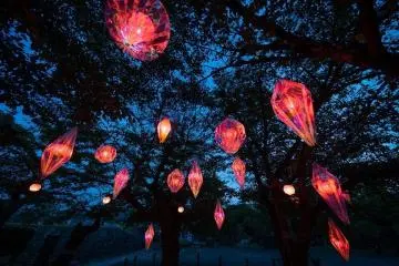 Photo: <a href="https://prtimes.jp/main/html/rd/p/000000002.000103189.html?fbclid=IwAR1FlNY689fH8fn4q1hRHX3os-i3DA5GT391RWwVIgIhrJT7MrupOAfjAgE" target="_blank" rel="noreferrer noopener nofollow">Tsuyama Tourism Campaign Promotion Council</a>