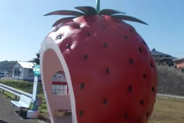 Photo: <a href="https://commons.wikimedia.org/wiki/File:Fruit_Shaped_Bus_Stops_in_Konagai_05.jpg" target="_blank" rel="noreferrer noopener nofollow">STA3816</a> / <a href="https://creativecommons.org/licenses/by-sa/4.0/deed.en" target="_blank" rel="noreferrer noopener nofollow">CC BY-SA 4.0</a>
