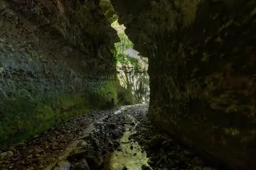 Be sure to bring your camera