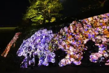 Photo: <a href="https://prtimes.jp/main/html/rd/p/000000856.000007339.html" target="_blank" rel="noreferrer noopener nofollow">TeamLab</a>