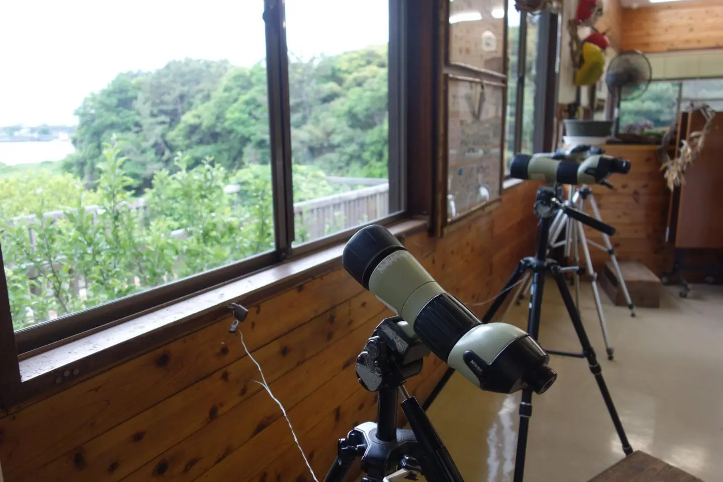 照片由: Shinagawa Tourism Association