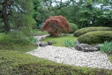 More of the rock garden