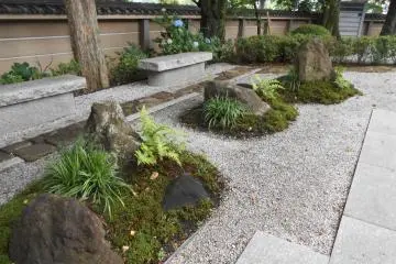 The rock garden