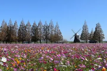 Photo: <a href="https://prtimes.jp/main/html/rd/p/000000311.000034888.html" target="_blank" rel="noreferrer noopener nofollow">Seibu Landscape Co., Ltd.</a>