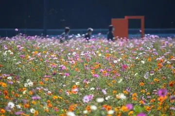 Photo: <a href="https://prtimes.jp/main/html/rd/p/000000311.000034888.html" target="_blank" rel="noreferrer noopener nofollow">Seibu Landscape Co., Ltd.</a>