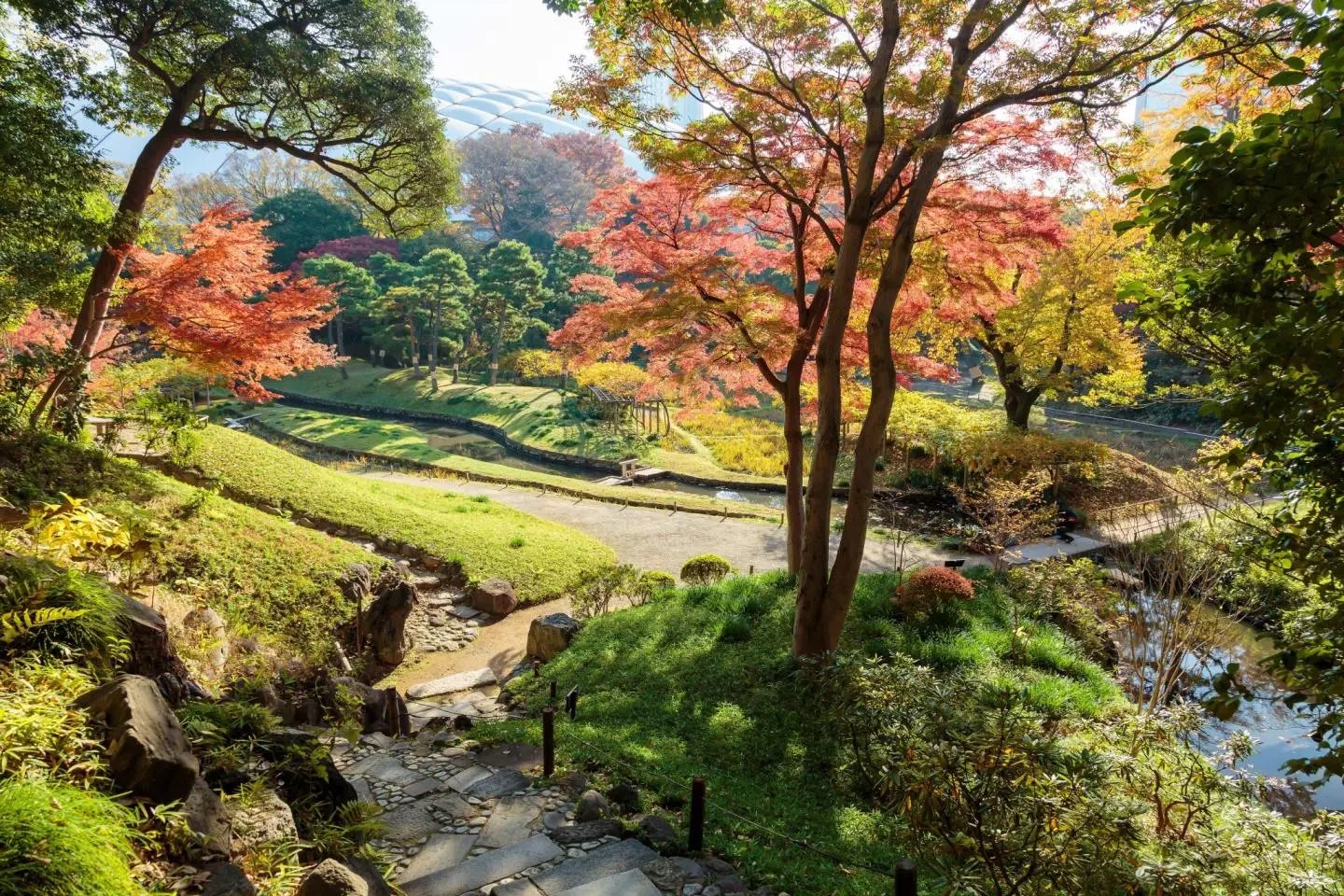 A traditional Japanese garden near central Tokyo (Photo: Koishikawa Korakuen Gardens)