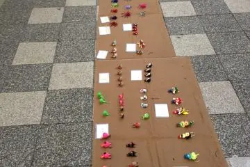Selection of the collection