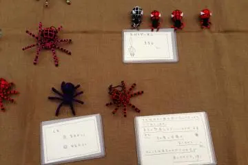 Cotton spiders