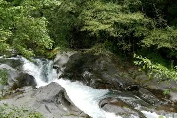 Rapids have worn down the rock to a smooth texture