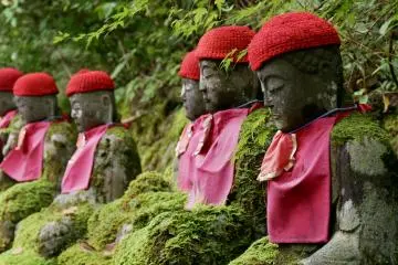 Vibrant colors from the red clothes and greenery 