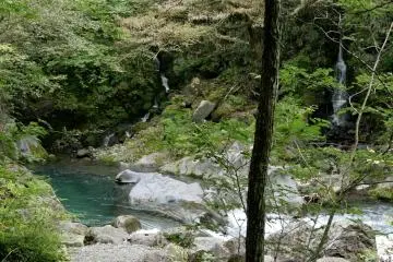 Many hidden miniature waterfalls along the trail