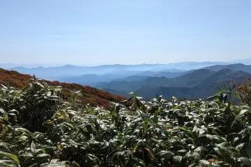 The first lookout after about 30 minutes