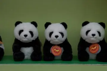 Ueno Panda Festa 2022