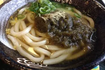 <p>Sanuki-style udon with grated seaweed</p>