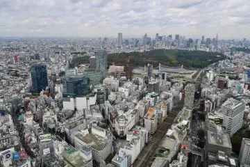 Spot Yoyogi Park!