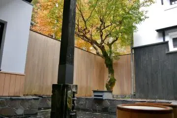 Outdoor bath with a beautiful Japanese maple tree