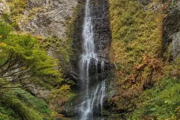 Another picture of Furutaki