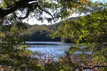 Lake view from the walk  