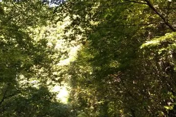 Walk around the lake 