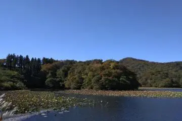 Shimo-ike wetlands