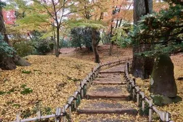 Autumn path
