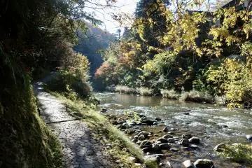 Morning hike