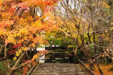 Ryoanji Temple  entrance to Kuri main building