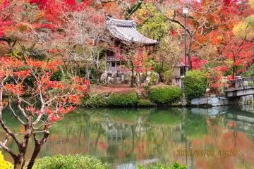 Eikando Hojo-ike Pond