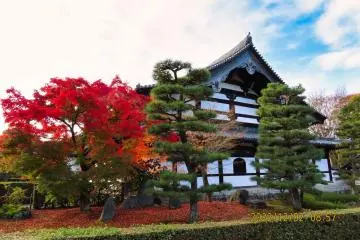 Tofukuji Zen do Hall