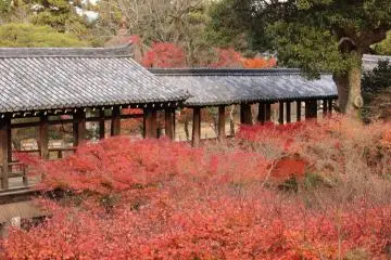 TofukujiI. Tsuten-kyo Bridge