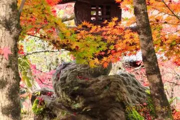 Eikando Lantern 