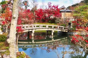 Eikando Hojo-ike pond