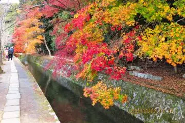 Walkway outside Eikando