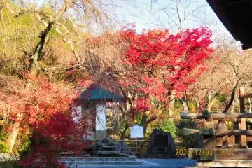 Tenryu-ji Shoun-kaku Tea House