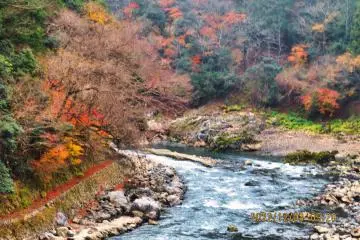 Sagano Romantic Train Ride River View