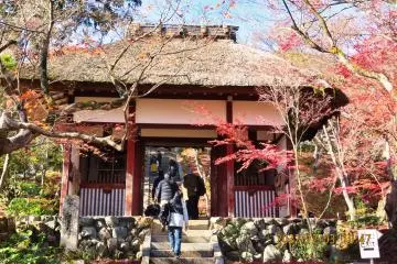 JoJakKoji Temple Myoken-do