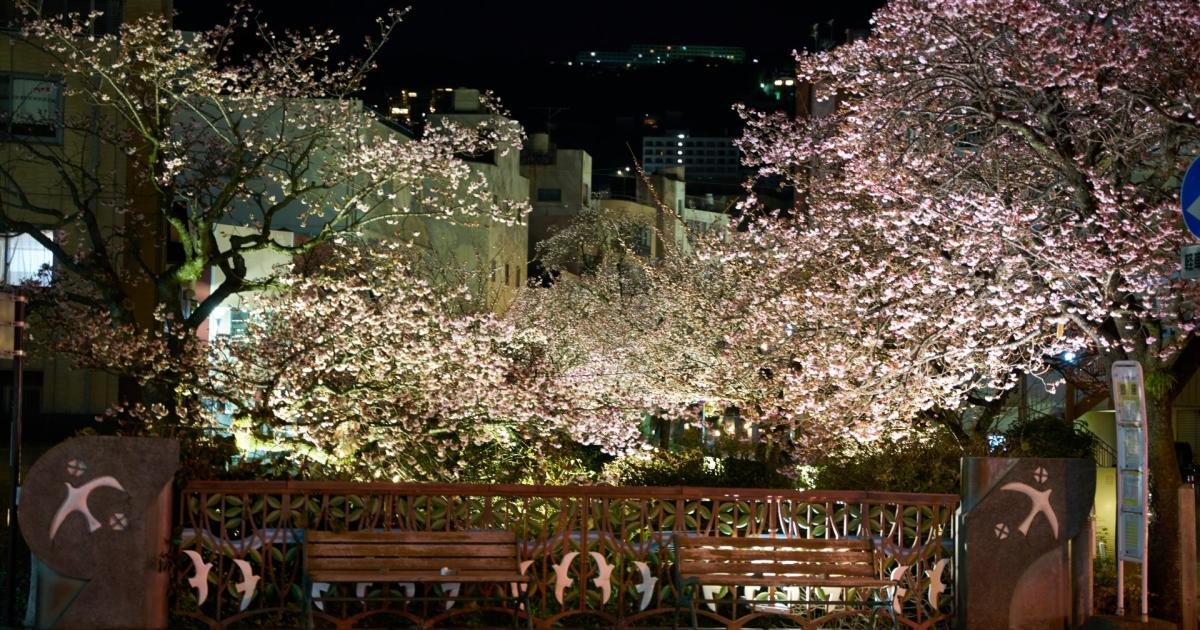 Itokawa Promenade Sakura Festival 2027 - Events in Shizuoka
