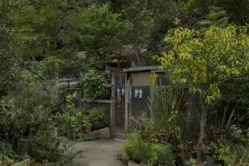 The grounds beautifully merge with the surrounding nature making the location the perfect for the rehabilitation of mistreated and neglected animals