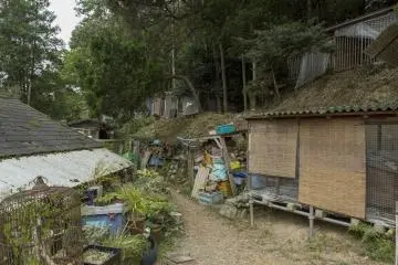 The facilities meet the mountain side giving the animals a sense of peace