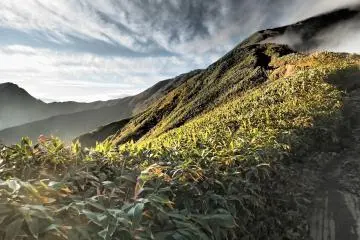Last light bouncing above the treeline (Photo: Matthew Shewchuk)
