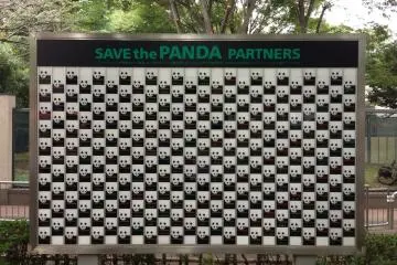 Save the panda