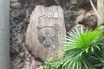 Tiger's home
