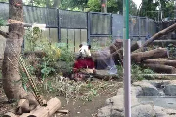 One of the most amazing animals you will see and experience