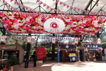 Photo: Tokai Kisen Co., Ltd.