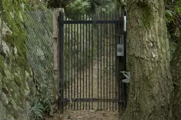 A large forest encompasses the centre so the dogs can be walked in a safe, natural environment
