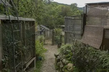 The large facilities provide a high quality of life for the animals