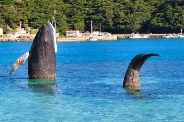 Concrete Whale