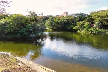 Ryutan Pond