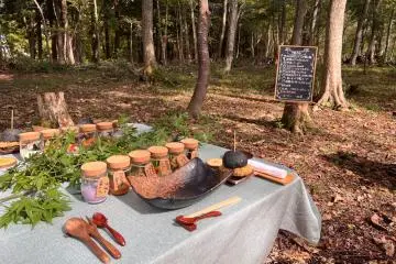 "Forest Restaurant": The gorgeous table 