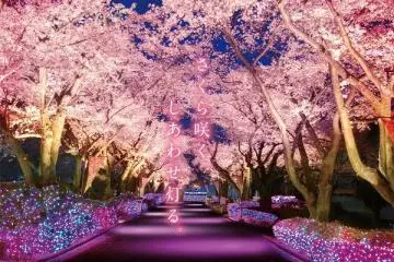 Photo: <a href="https://prtimes.jp/main/html/rd/p/000000229.000041300.html" target="_blank" rel="noreferrer noopener nofollow">Yomiuri Land Co., Ltd.</a>